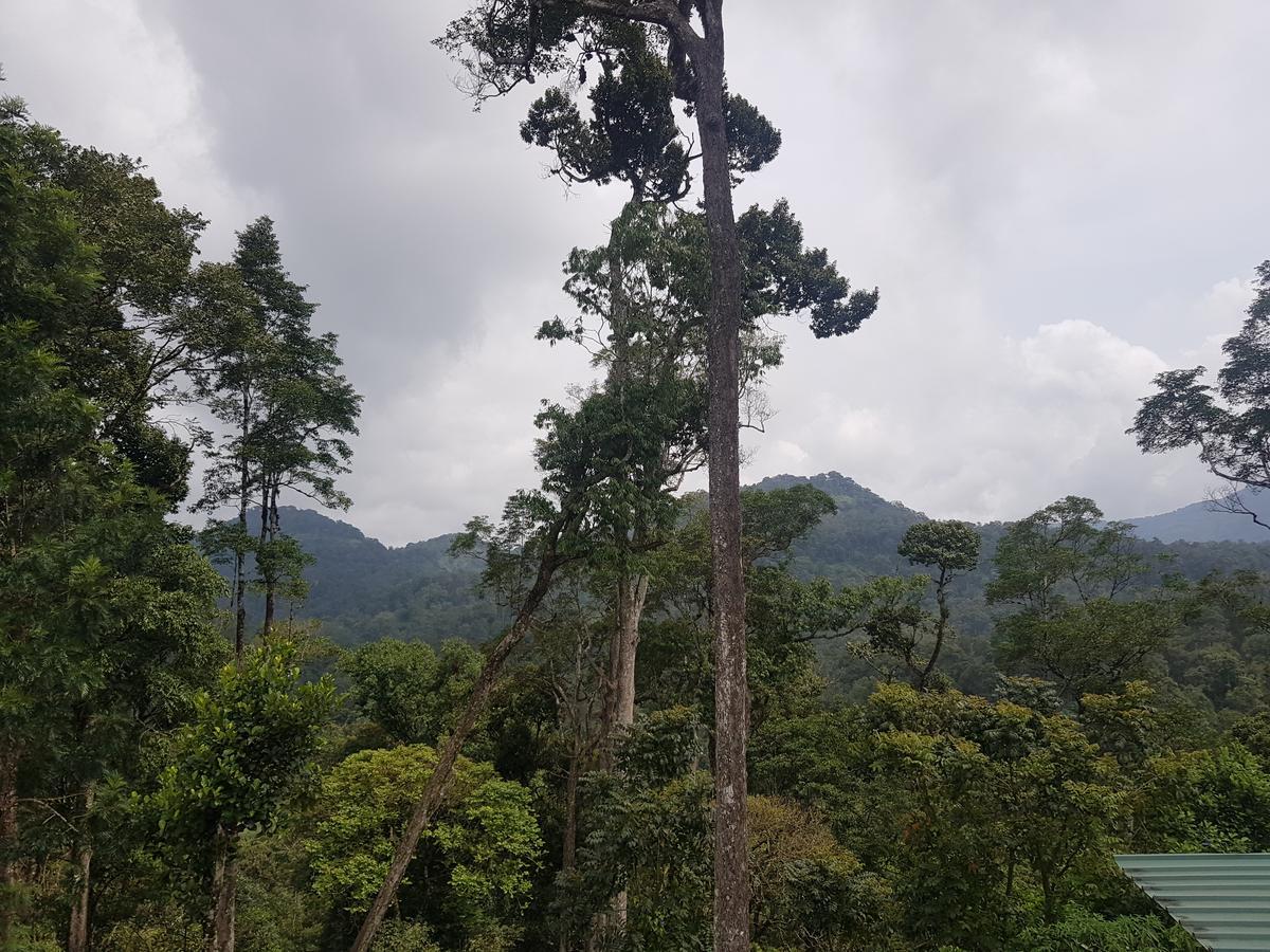 Dew Drops Farm Resorts Munnar Exterior foto